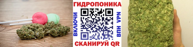 Cannafood конопля  Кяхта 
