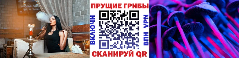 Псилоцибиновые грибы GOLDEN TEACHER  закладка  Кяхта 